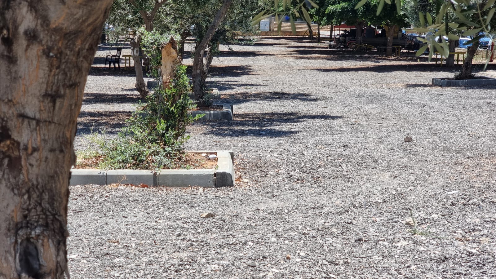 WhatsApp Image 2021-07-08 at 12.45.08 PM.jpeg